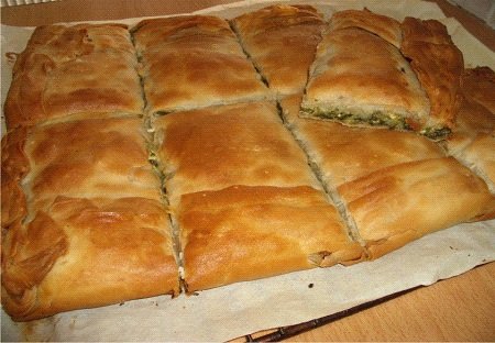 Σφολιατοειδή χονδρική τιμές Σφολιατοειδή χονδρική τιμές